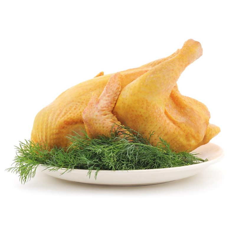 Κόκορας  Ελευθέρας  Βοσκής Ελληνικό